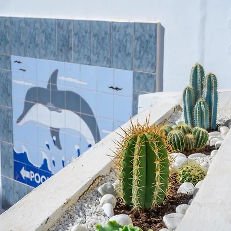 Americas Garden Ferienhaus